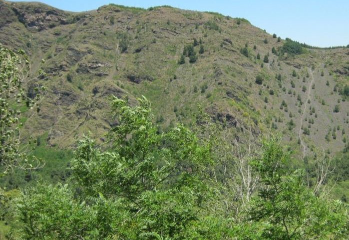 Un'immagine del Parco Nazionale del Vesuvio!!!